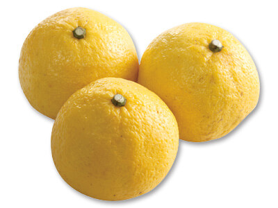 はるか（柑橘）　450G写真