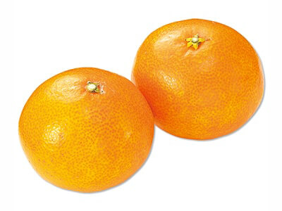 愛媛のまどんなみかん　500G写真