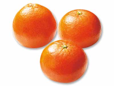 冬のコク甘みかん　みはや　500G写真