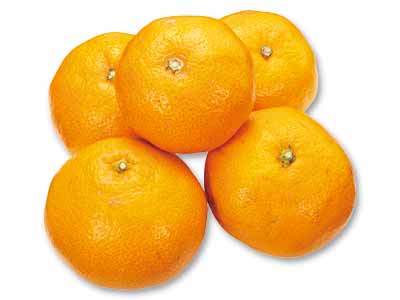 させぼ温州みかん　500G写真