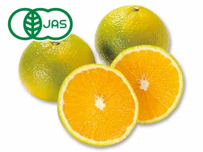 有機スイートスプリング　500G写真