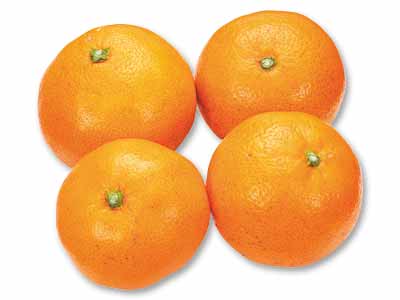 山下紅みかん　400G写真