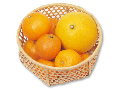 柑橘食べ比べセット写真