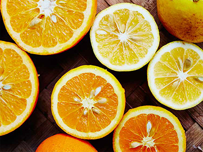 頒布会　かんきつめぐり　追加募集写真