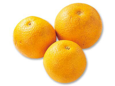 和歌山・川端さんのはっさく　1KG写真