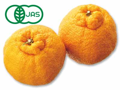 有機しらぬい　450G写真