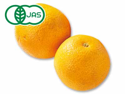 有機はっさく　500G写真