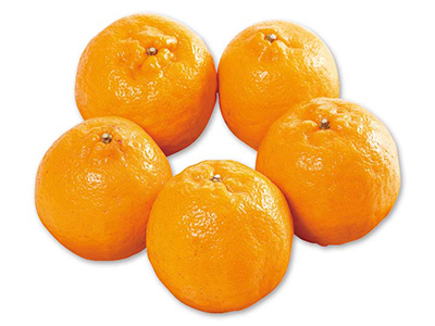 ぽんかん　1KG写真