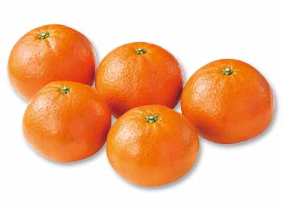 ダブルマーコット　400G写真