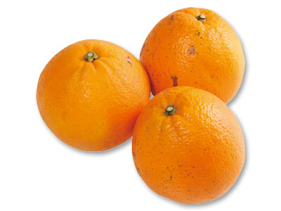 ネーブル　600G写真