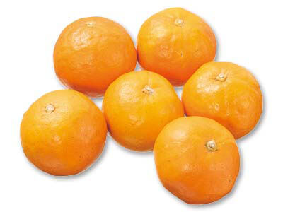 セミノール　500G写真