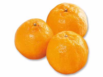 愛媛　無茶々園のぽんかん　500G写真