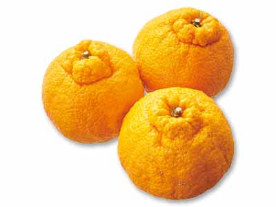 熟成・蔵出ししらぬい　800G写真