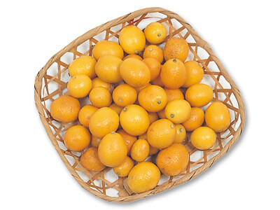 大地のもったいナイ野生きんかん　250G写真