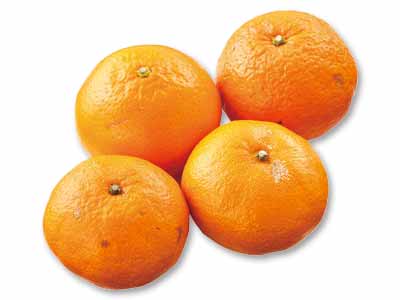 馬場さんの津之輝（つのかがやき）　400G写真