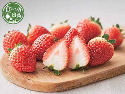 頒布会　こだわり農家のいちご食べ比べ写真