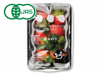 熊本の有機恋みのりいちご　150G写真
