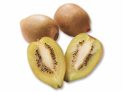 東京ゴールド（キウイフルーツ）　300G写真