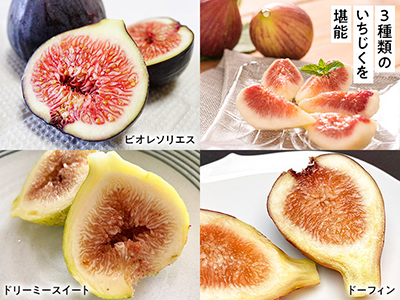 予約　とろける甘さ　直送・3種のいちじく食べ比べ　500G写真