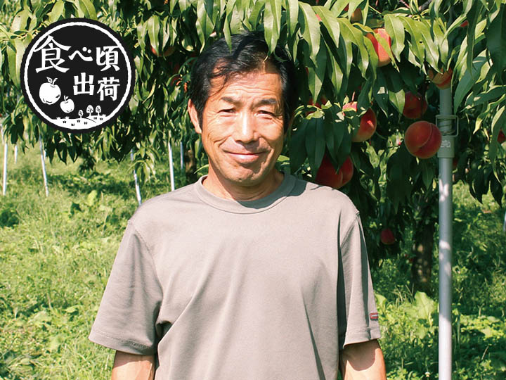 予約 達人・奥山さんの黄金桃 700G写真