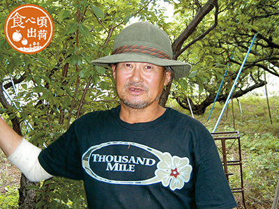 予約　古郡正さんのプラム　400G写真