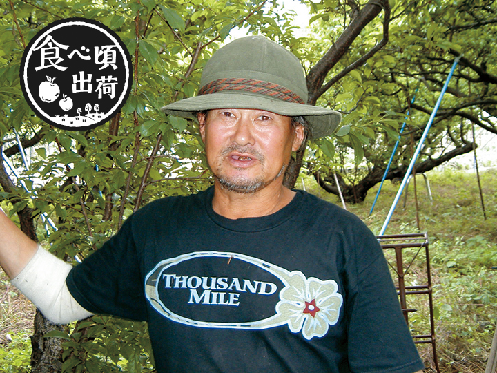 予約 古郡正さんのプラム 400G写真