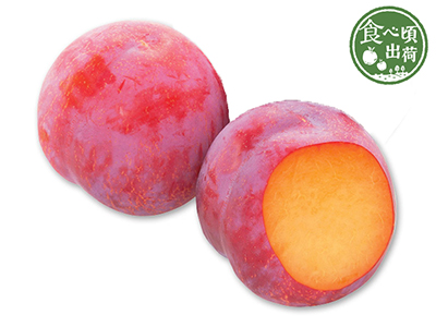 予約 うっとりジューシープラム(貴陽) 280G写真