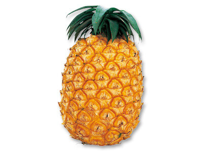 沖縄八重山の甘み爽やかハワイパイン 1コ写真