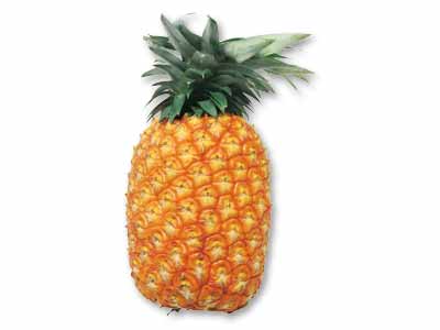 沖縄・八重山のサンドルチェパイン特大　1コ写真