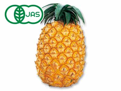 予約　沖縄やんばる・樹さんの有機ハワイパイン　1コ写真