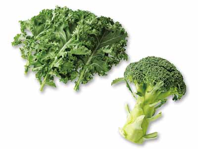 サラダもおいしい地中海野菜カーリーケール・70G＆ブロッコリー・1コ写真