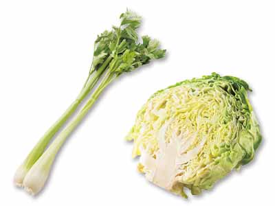 三河の潮風を浴びたキャベツ＆セロリのセット写真