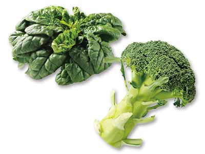 甘みが増した寒ちぢみほうれんそうとブロッコリーのセット写真