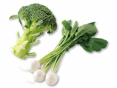 甘みを愉しんで！春のサラダかぶとブロッコリーのセット写真