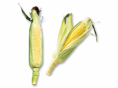 とうもろこし食べ比べセット（三河の潮風とうもろこし＆おおもの）写真