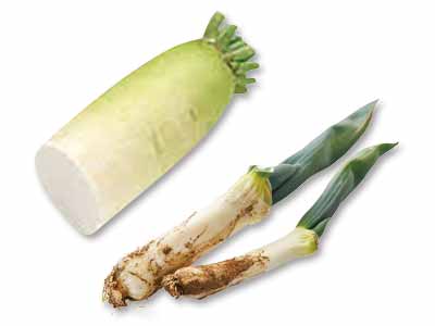 お鍋や汁物にぴったり　下仁田ねぎ＆大根のセット写真