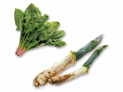 寒さで甘みが増す　下仁田ねぎ＆ほうれんそうのセット写真