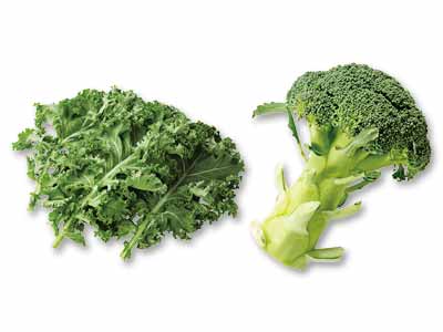 サラダが華やかに♪地中海野菜カーリーケール＆ブロッコリーのセット写真