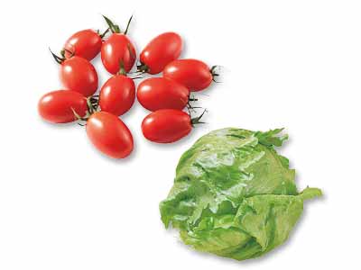 サラダといえばコレ　春のレタス＆ミニトマトのセット写真