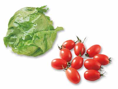 春限定セット！飯塚さんのレタス＆ミニトマトのセット写真