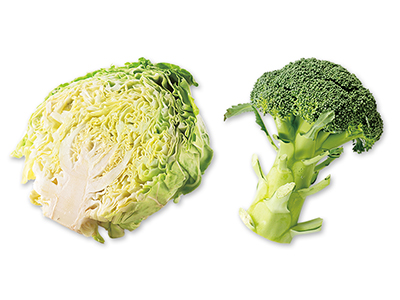 温野菜にもぴったり　春キャベツ＆ブロッコリーのセット写真