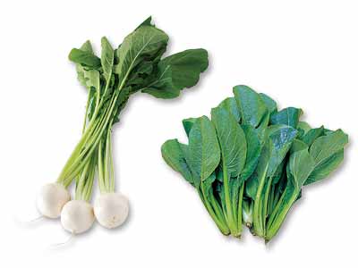 サラダでもおすすめ　春のサラダかぶ＆小松菜のセット写真