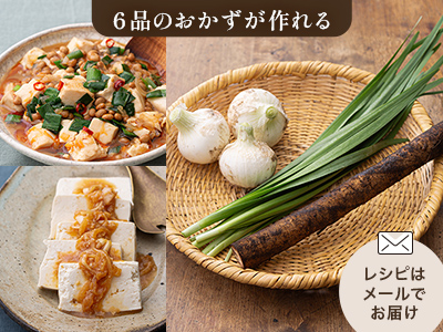 腸おいしい　3種の野菜セット（白玉ねぎ・ごぼう・ニラ）写真