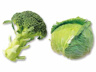 夏の健康維持にも◎高原育ちのシャキ甘キャベツ＆ブロッコリーのセット写真