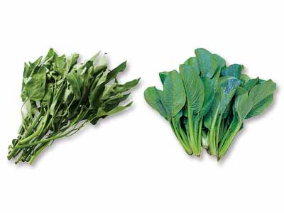 旬のおひたしに！エンサイ＆小松菜のセット写真