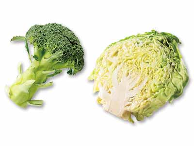 スープにぴったり　キャベツ＆ブロッコリーのセット写真