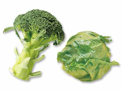 フレッシュなサラダの完成　ブロッコリー＆レタスのセット写真