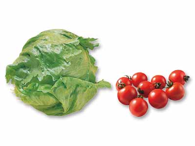 フレッシュサラダコンビ　レタス＆ミニトマトのセット写真