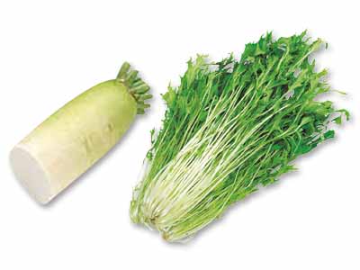 煮物やお鍋の定番　大根＆水菜のセット写真