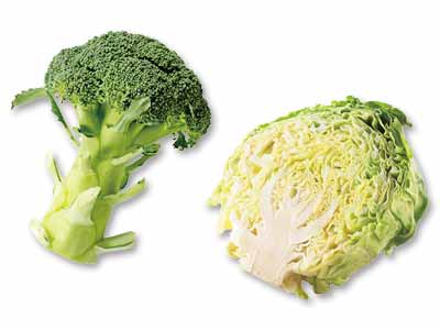 甘みがギュッと詰まったスープに　ブロッコリー＆キャベツ1／2のセット写真